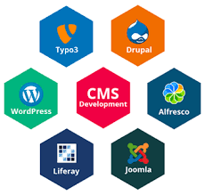Choose Custom Cms Development Services For Web Solutions